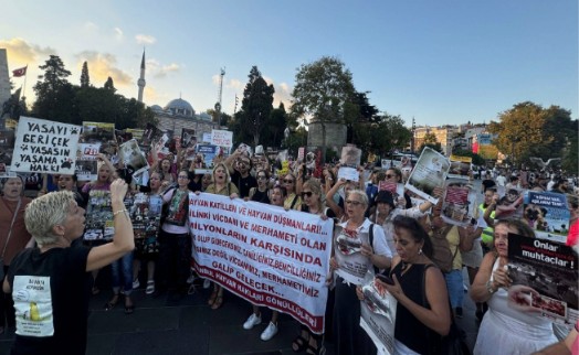 Yaşam hakkı savunucuları Beşiktaş'ta yaşam zinciri oluşturdu