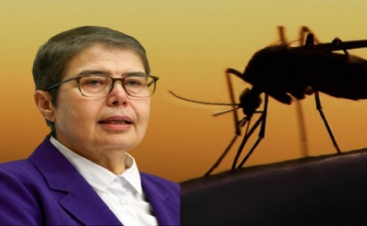 CHP'li Şahbaz'dan Batı Nil virüsü açıklaması: Bakanlık 6 vaka açıkladı ama onlarca vaka var