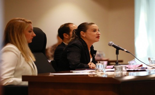 Efes Selçuk'ta kurtuluş meclisi