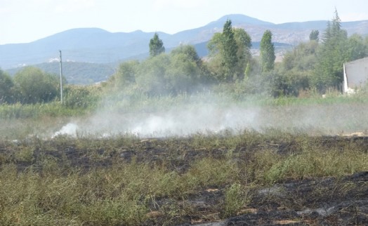 Kütahya'da arazi yangını