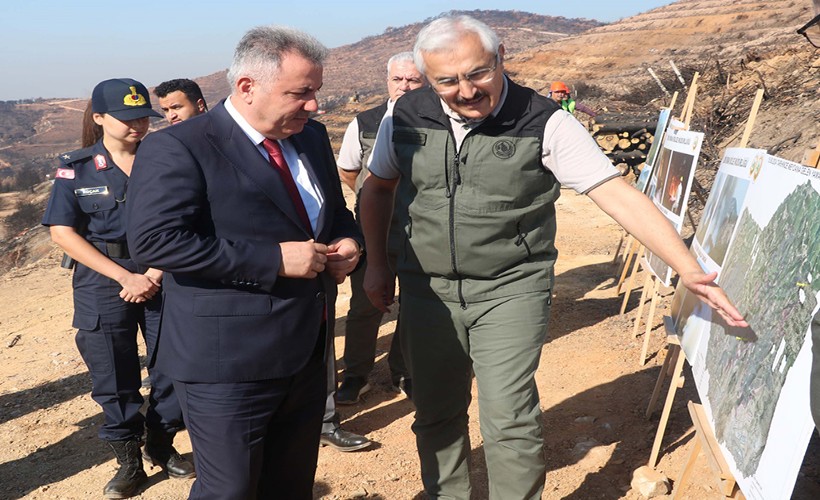 Vali Elban, Yamanlar'da yanan bölgedeki ağaçlandırma çalışmalarını inceledi