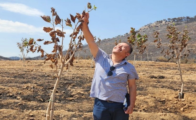 Yanan ormanlardan yüzleri gülümseten gelişme