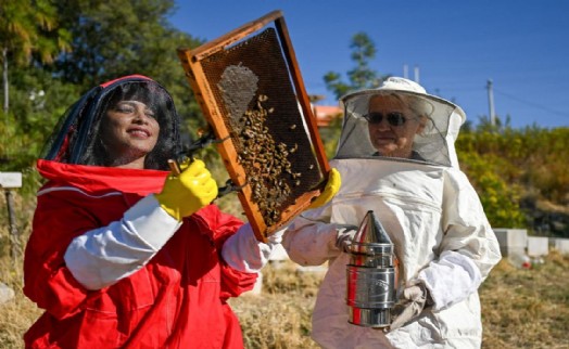Bornova'da 'Arıcılık' geleceğe taşınıyor