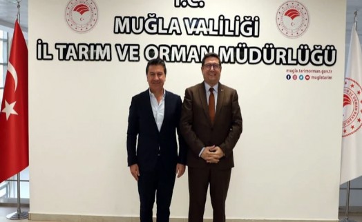 CHP'li Başkan ile fotoğraf il müdürünün başını yaktı, jet hızıyla görevden alındı