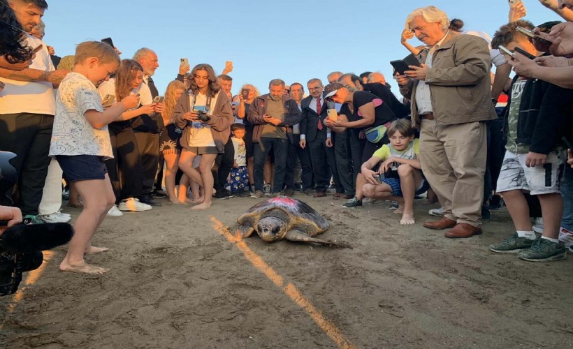 Caretta caretta 'Cumhuriyet'i 2 ayda 2 bin kişi izledi