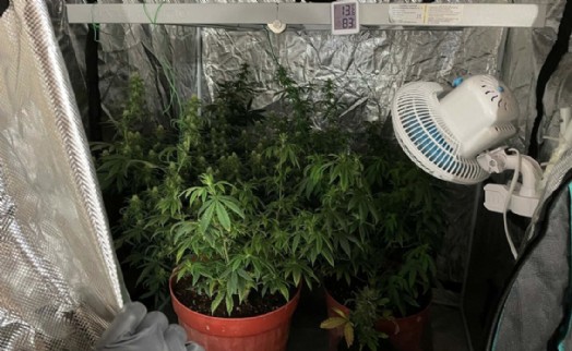 İzmir'de uyuşturucu operasyonu 3 tutuklama