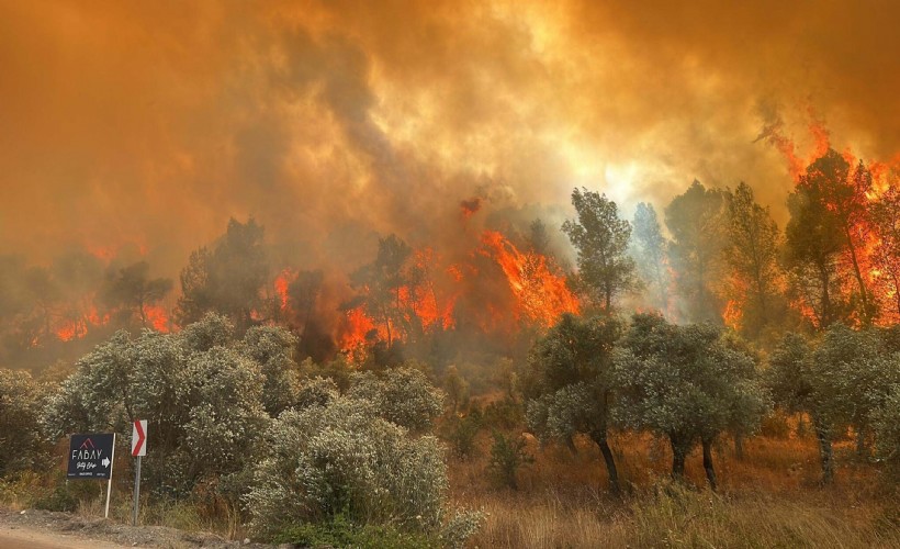 Muğla'da orman yangınlarının yüzde 59'u insan kaynaklı