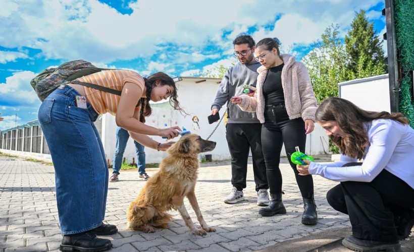 Bornova’da can dostlar için el ele