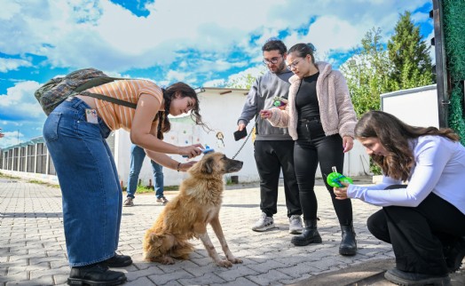 Bornova'da can dostlar için el ele