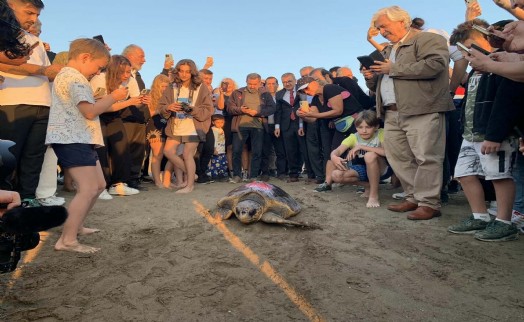 Caretta caretta 'Cumhuriyet'i 5 bin kişi izledi
