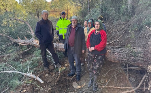 Danıştay onlarca ağacın kesildiği Tire-Belevi yolu için yürütmeyi durdurma kararı