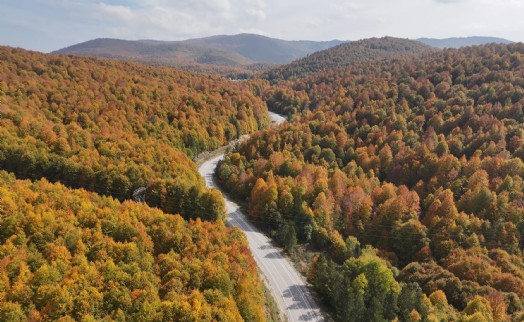 Domaniç Dağları sonbaharın renklerine büründü