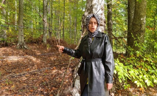 İlk hasadını ayılara kaptırdı