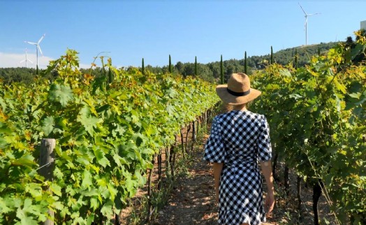 İzmir bağcılık mirasını koruyan Iter Vitis Rotası'na katıldı