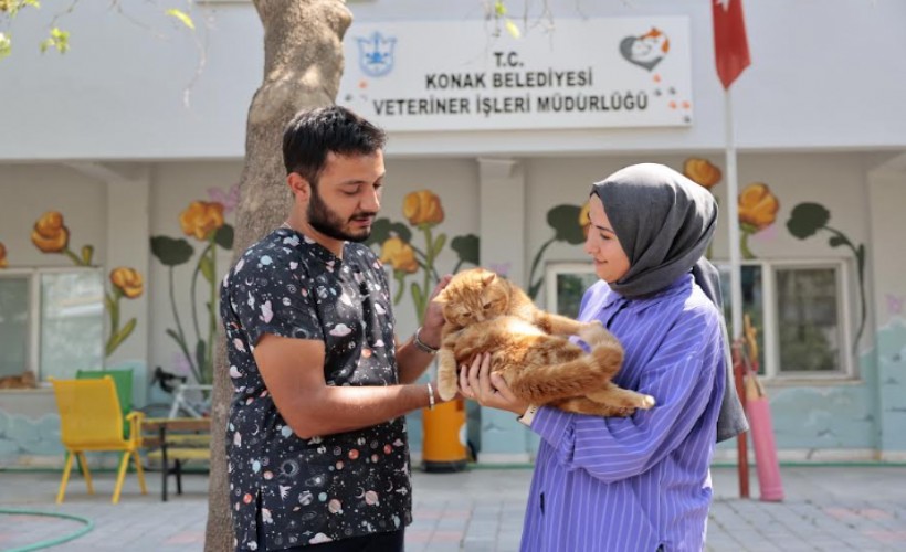 Konak, can dostlarının yanında: 200'den fazla kedi ve köpek yeni yuvasına kavuştu