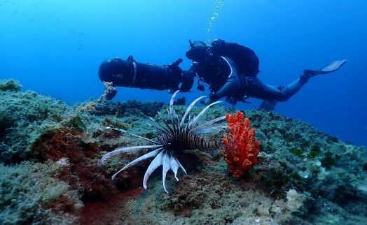 Kuşadası'nın su altı dünyası, dalış tutkunlarının gözdesi oldu
