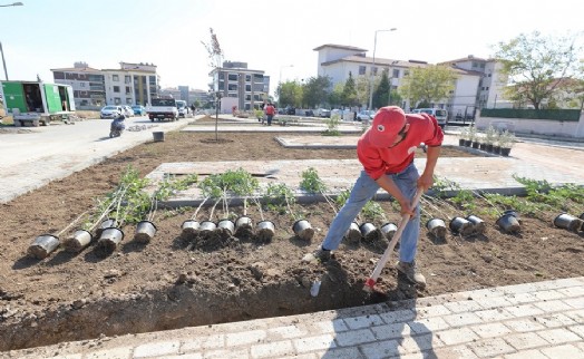 Menderes'teki Pati Park'ta sona doğru