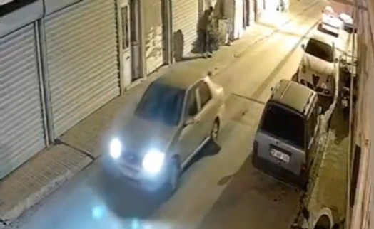 Muğla'da otomobilin altında sürüklenen oklu kirpi öldü
