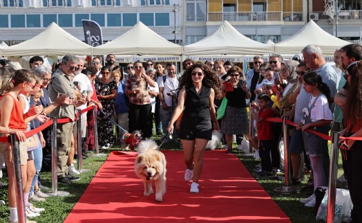 Patilerin Festivali 6 yaşında