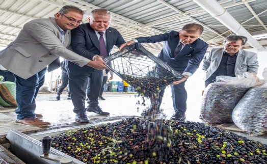 Sezonun ilk zeytinyağı Başkan Tugay'dan