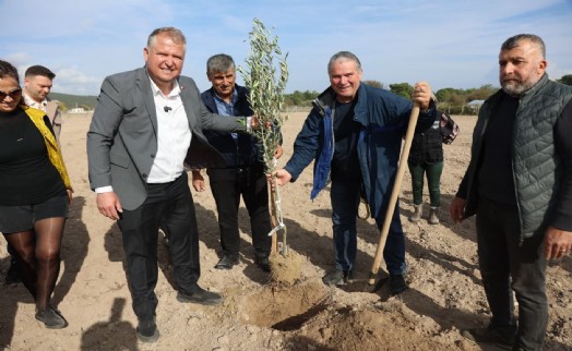 Atatürk'ün vasiyeti Urla'da hayata geçti: Zeytin Koleksiyon Bahçesi'nde ilk fidan dikimi