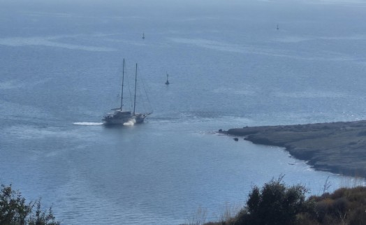 Bodrum'da 41 metre uzunluğundaki yelkenli karaya oturdu