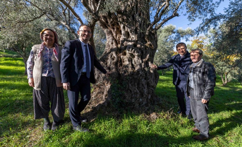 Tugay Beydağ’da kestane üreticileriyle buluştu: 'Gözümüz gibi korumamız gerek'