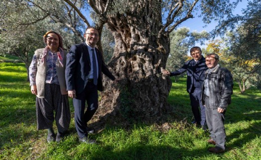 Tugay Beydağ'da kestane üreticileriyle buluştu: 'Gözümüz gibi korumamız gerek'