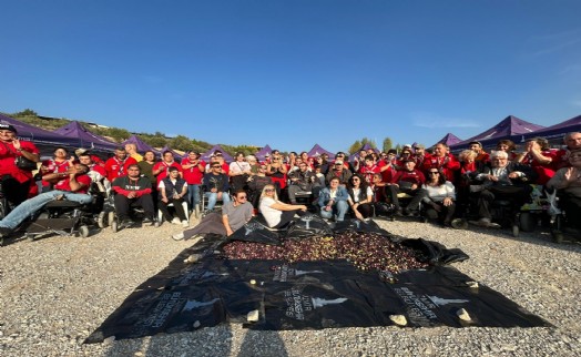 Engelli yurttaşlar ve yakınları zeytin hasadında buluştu