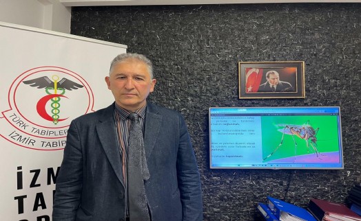 İklim değişikliği nedeniyle tropikal kökenli sivrisinekler Türkiye'ye taşındı