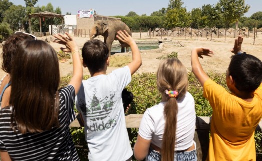 İzmir Doğal Yaşam Parkı'na ziyaretçi akını