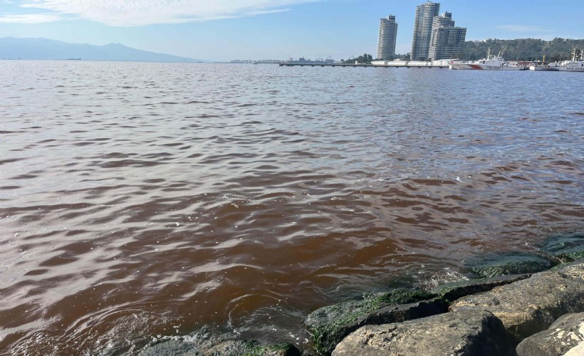 İzmir Körfezi'nde kötü koku sürüyor; denizin rengi kahverengiye döndü!