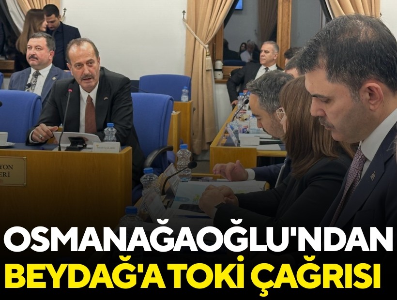 MHP'li Osmanağaoğlu'ndan Beydağ'a TOKİ çağrısı
