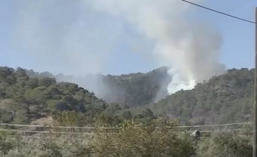 Muğla'da orman yangını