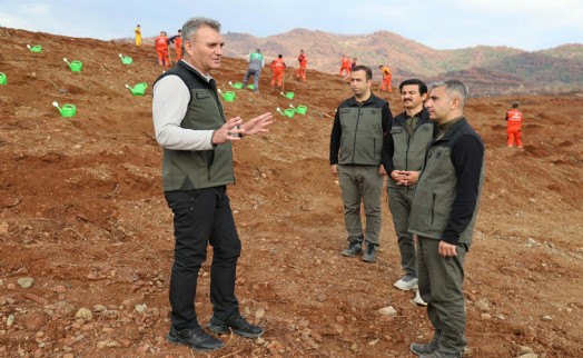 Muğla ve Aydın'da 30 ayrı noktada fidan dikilecek