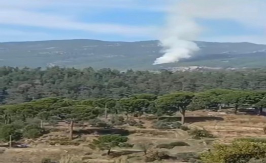 Muğla'da 1 hektar orman kül oldu