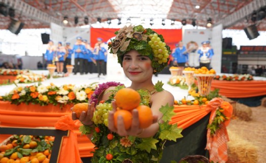 Seferihisar'ın 'Turuncu Bayramı'na geri sayım