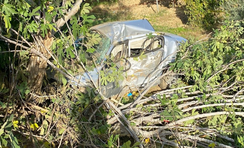 Tarlaya yuvarlanan otomobilin sürücüsü öldü