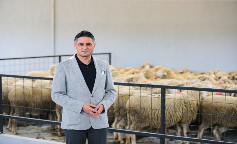 Aliağa'dan üreticiye destek: Damızlık Koyun Merkezi kırsal kalkınmaya güç katıyor