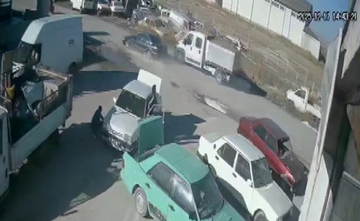 Köpekleri öldürme iddiası sonrası kavgaya 2 tutuklama!