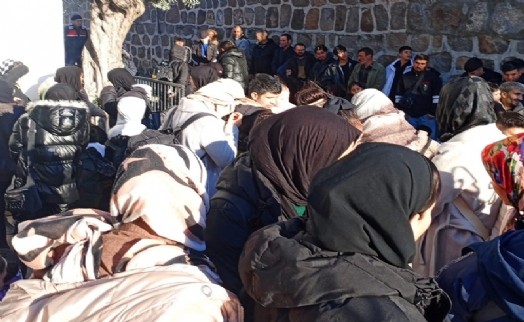 Bodrum'da 82 kaçak göçmen yakalandı