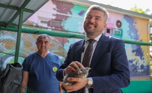 Buca’da 'Satın Alma, Sahiplen!' çağrısı yanıt buldu: 300 can dostu yeni yuvasına kavuştu
