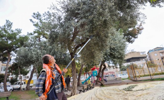 Buca'da dayanışma için hasat zamanı