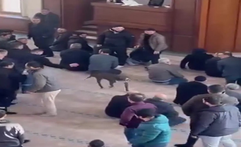 Camiye giren pitbullun sahibine adli ve idari işlem yapıldı