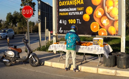 Güzelbahçe'de güven ve dayanışma esaslı uygulama; 'Mandalinanı tart, parasını kutusuna at'