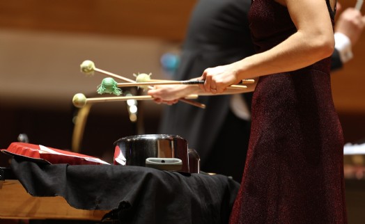 İzmir Devlet Senfoni Orkestrası'na tencere ve tava ile eşlik etti