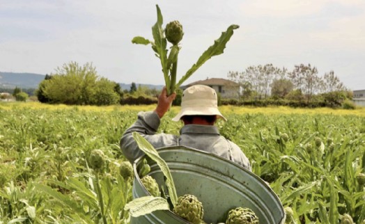 İzmir'in üç güçlü sürdürülebilir turizm hikyesi Halkın Seçimi finalinde