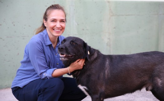 Karşıyaka'da 1 yılda 40 bin can dosta şefkat eli uzandı