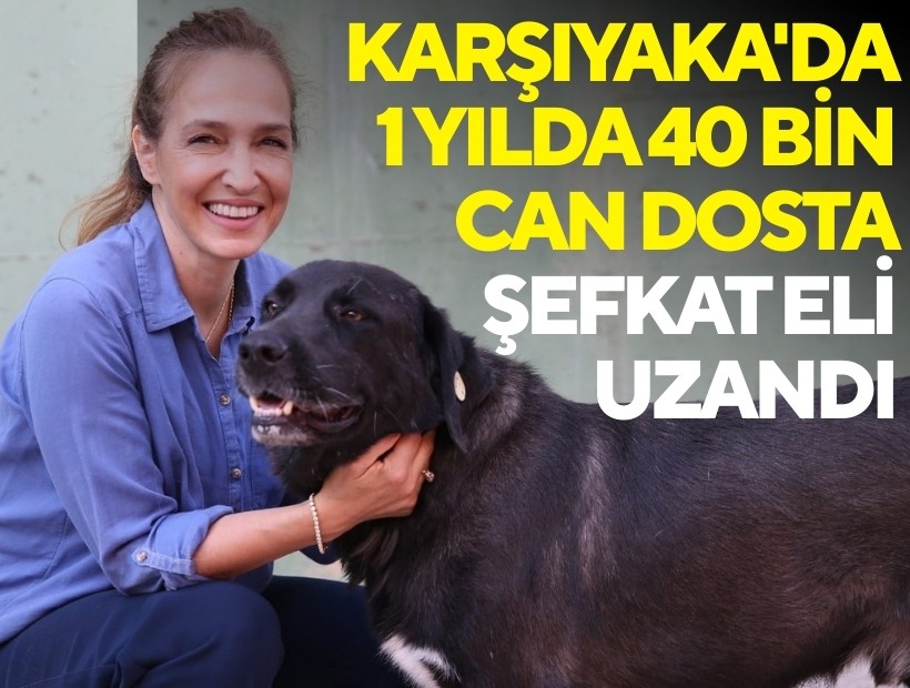 Karşıyaka'da 1 yılda 40 bin can dosta şefkat eli uzandı
