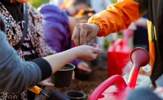 Tohumdan toprağa, topraktan sofraya